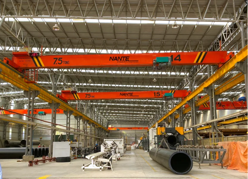 2Single Girder Overhead Cranes for Warehouse Automation